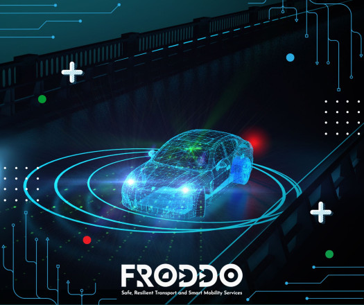 FRODDO graphic 1.jpg