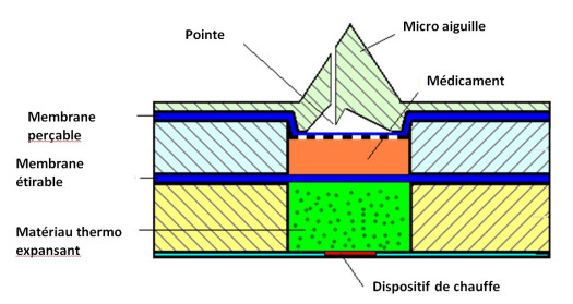 Functional drug delivery platform, incorporating a polymeric micro moulded hollow micro needle array																										